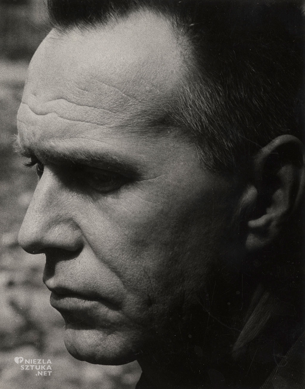 Zamecznik Portret Fangora | 1962, Fundacja Archeologii Fotografii, faf.org.pl