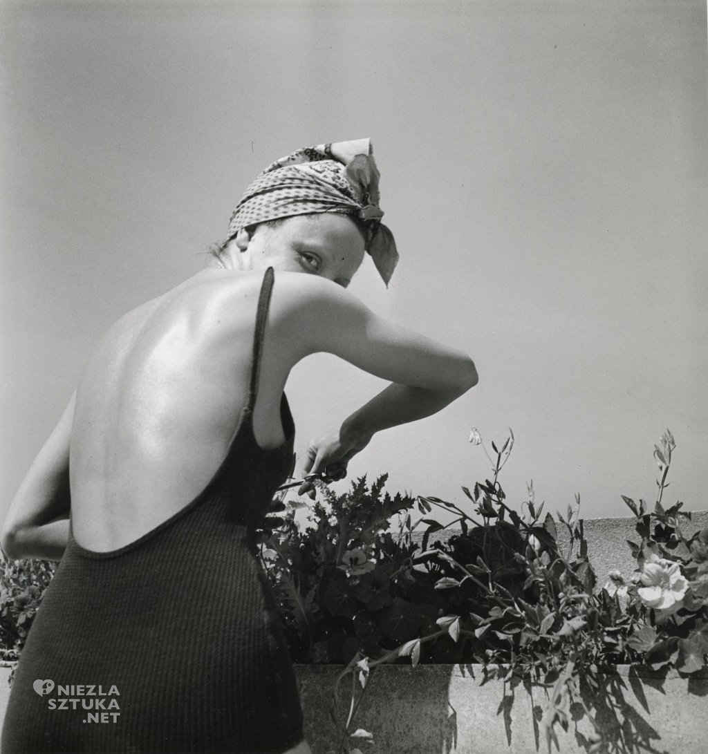 Coco na tarasie | 1938, fot. filmsnotdead.com