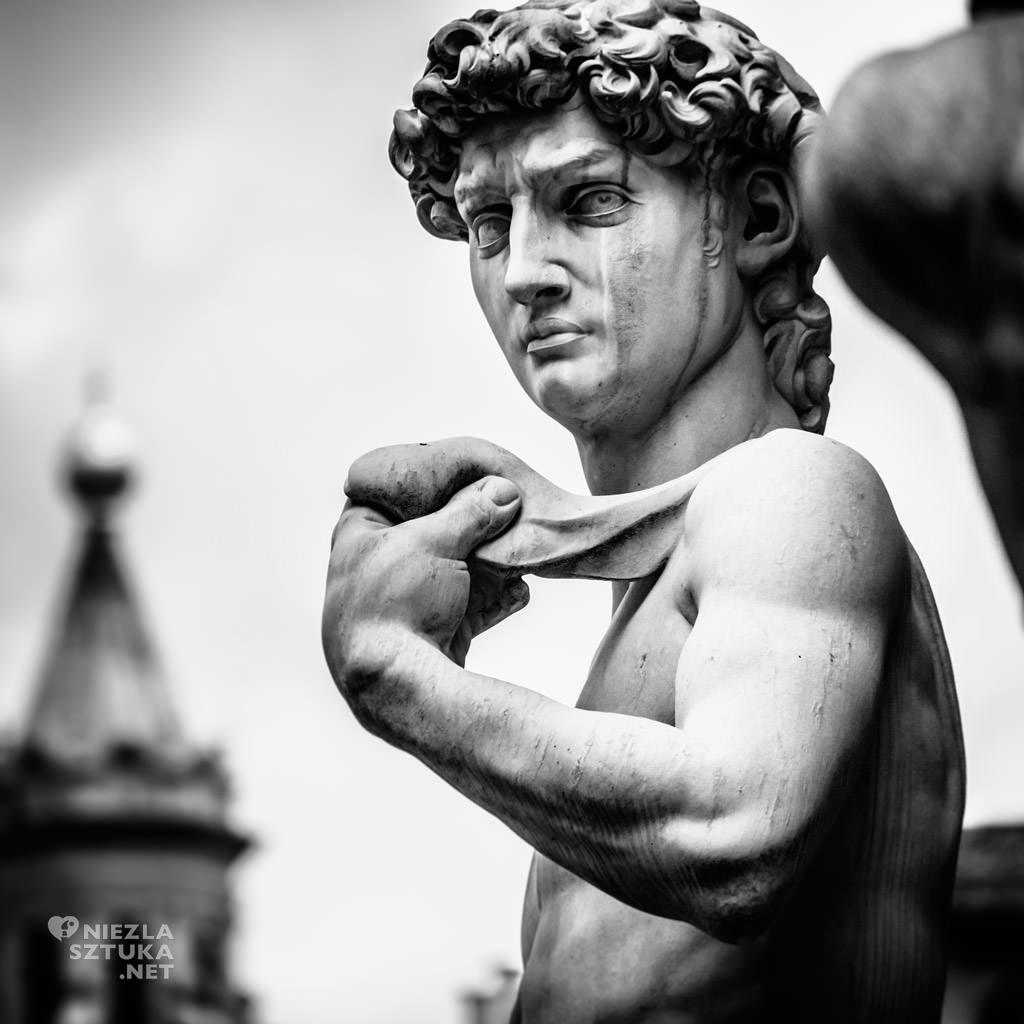 Michał Anioł rzeźba Dawid Florencja