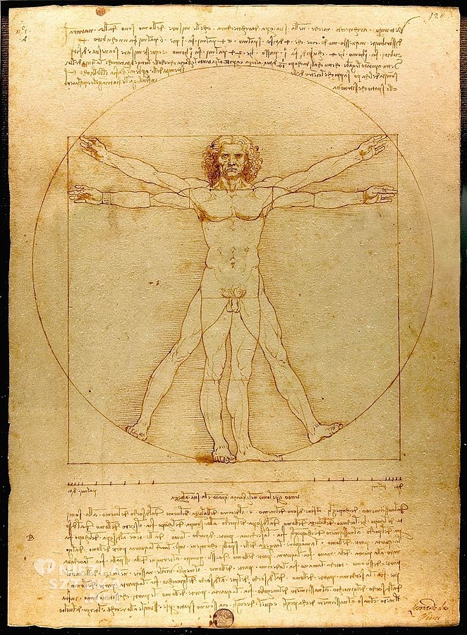 Leonardo Da Vinci, Człowiek Witruwiański – Studium Proporcji Ludzkiego ...