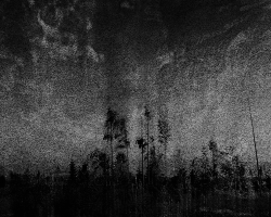 paweł opaliński fotografia