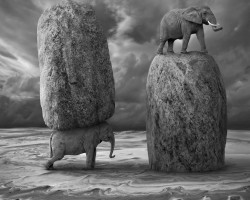 Dariusz Klimczak fotografia surrealizm