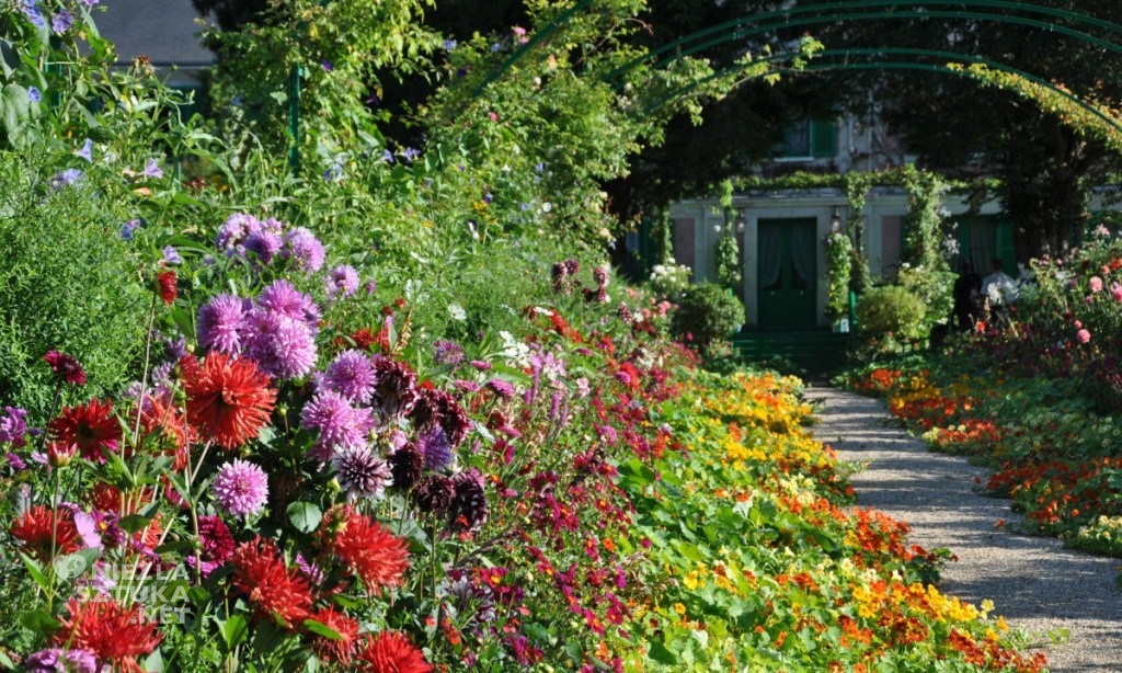 Giverny Monet, Claude Monet, ogród, niezła sztuka