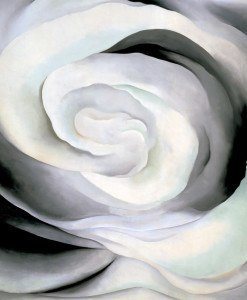 Georgia O'Keeffe, Abstraction white rose, róża, amerykańska artystka, amerykańska sztuka, kobiety w sztuce, malarka, kwiaty w sztuce, Niezła Sztuka