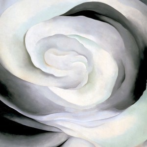 Georgia O'Keeffe, Abstraction white rose, róża, amerykańska artystka, amerykańska sztuka, kobiety w sztuce, malarka, kwiaty w sztuce, Niezła Sztuka