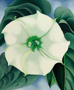 Georgia O'Keeffe, Jimson Weed, kwiaty w sztuce, amerykańska artystka, amerykańska sztuka, kobiety w sztuce, malarka, Niezła Sztuka