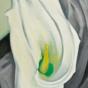 Georgia O'Keeffe, White Calla Lily, Biała Kalia Lilia, artystka, amerykańska artystka, kwiaty w sztuce, lilia, sztuka amerykańska, Niezła Sztuka