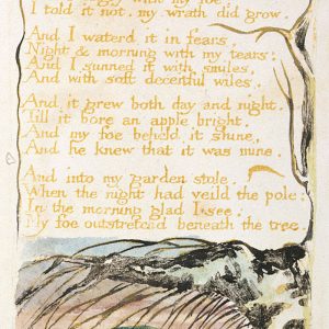 William Blake, ilustracja, wiersz, sztuka angielska, Niezła Sztuka