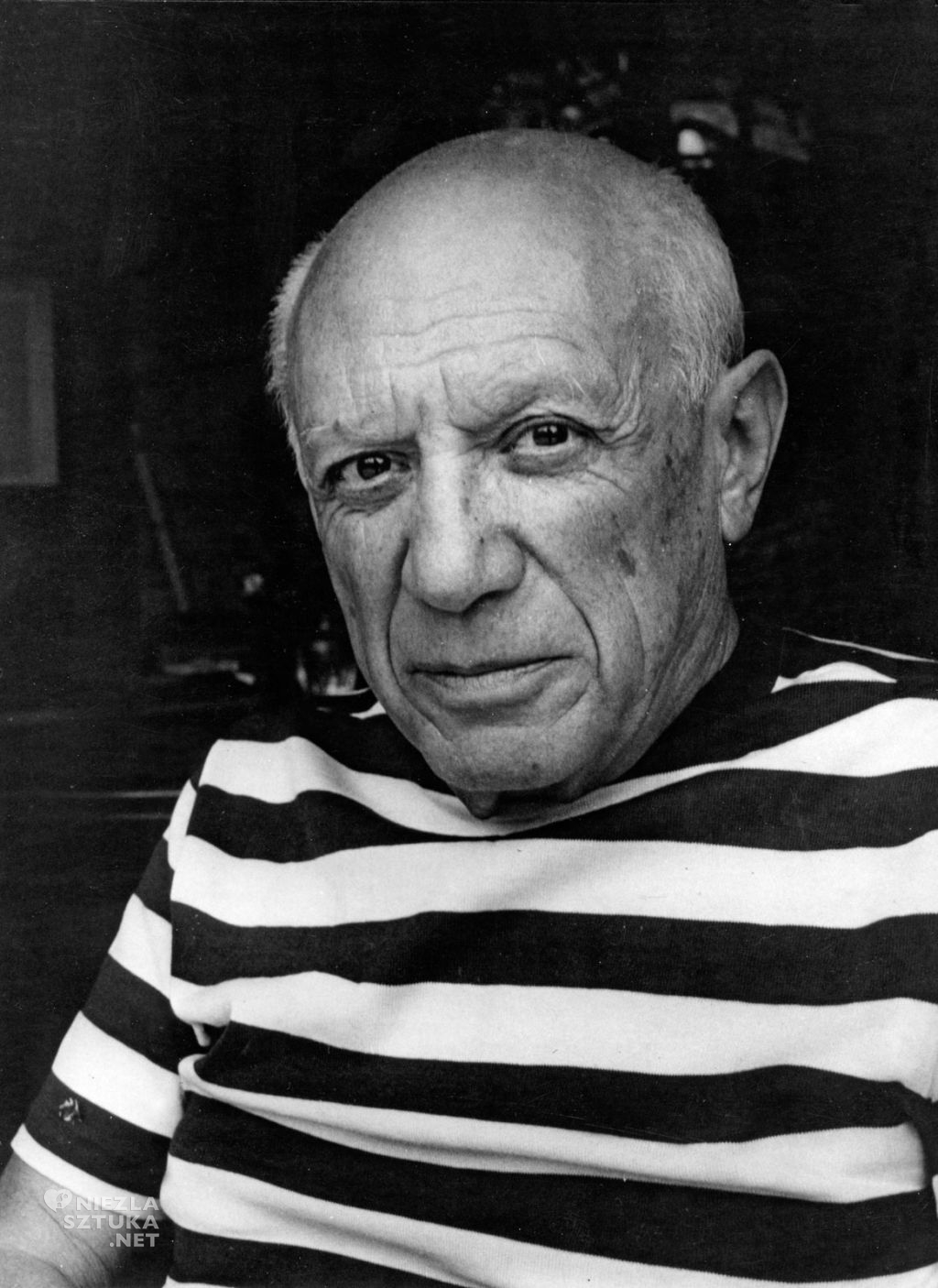 Pablo Picasso, fotografia, Niezła Sztuka