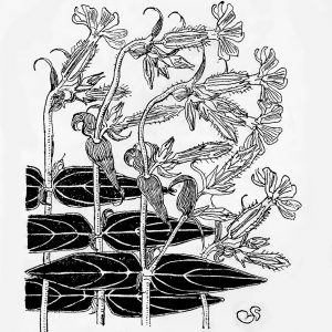 Stanisław Wyspiański, winieta, sztuka polska, Niezła Sztuka