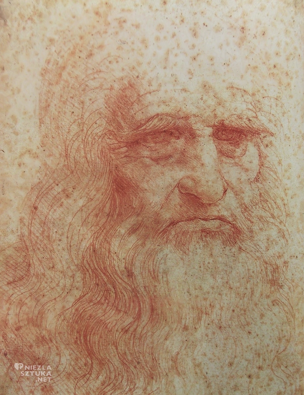 Leonardo da Vinci Autoportret, Niezła sztuka