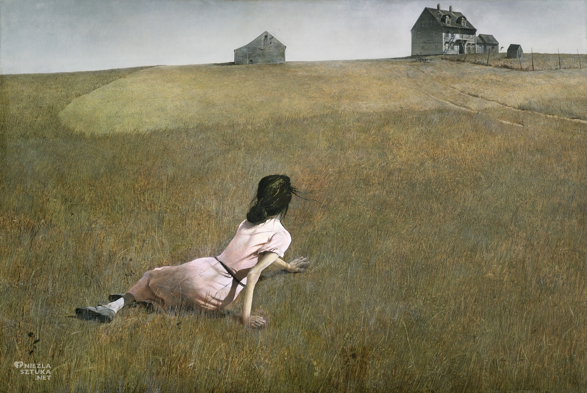 Andrew Wyeth Świat Christiny, Niezła sztuka