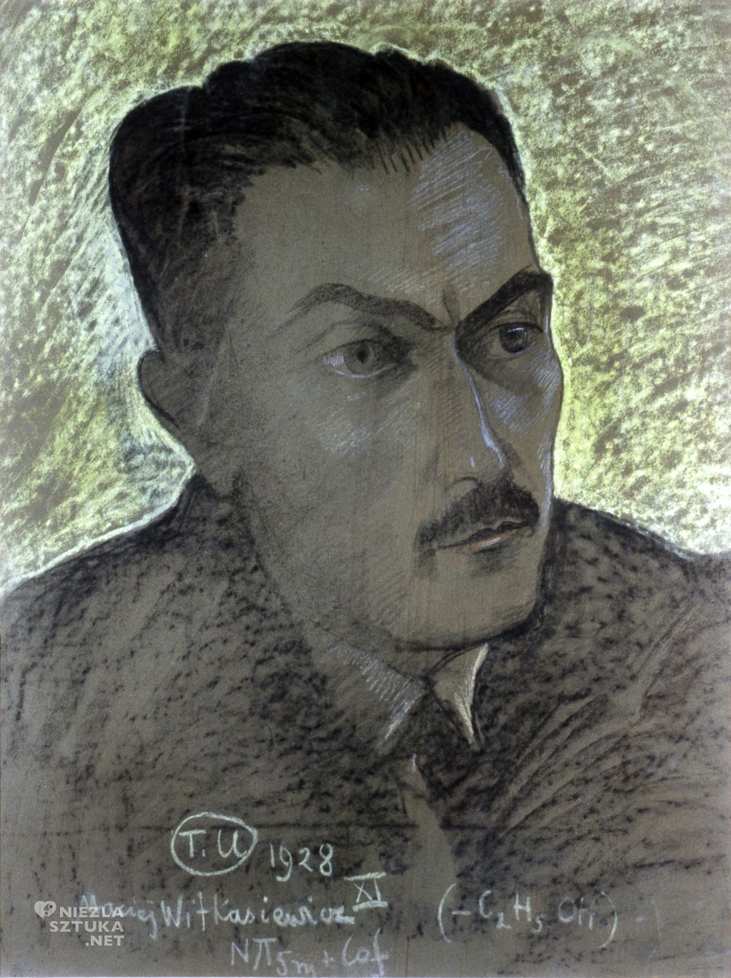 Stanisław Ignacy Witkiewicz, Witkacy, Portret, Tadeusz Boy-Żeleński, Niezła Sztuka
