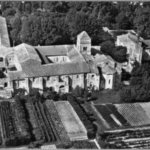 vincent van gogh, szpital św. Pawła w Saint-Rémy de Provence, niezła sztuka