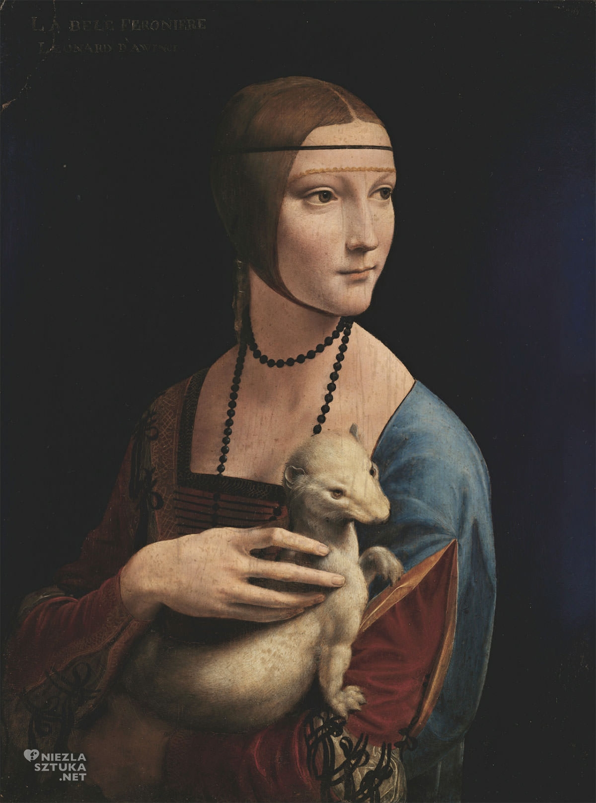 Leonardo da Vinci, Dama z gronostajem, Niezła sztuka