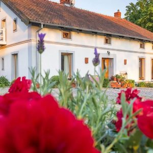 Siedlisko Blanki, agroturystyka Mazury, Niezła sztuka