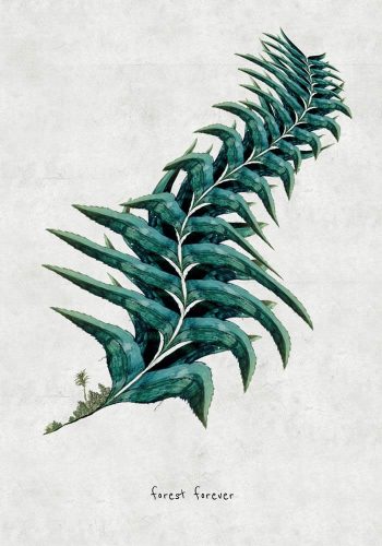 Justyna Stoszek, forest forever, grafika, malarstwo, sztuka polska, młoda sztuka, Niezła sztuka