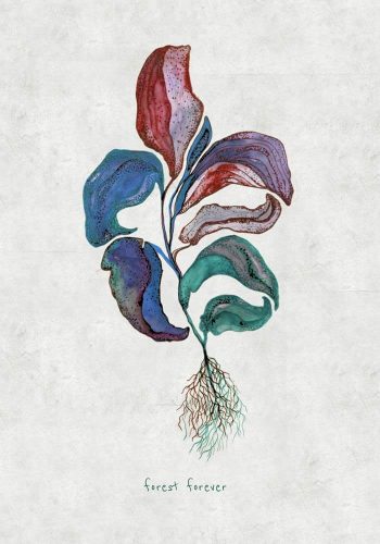 Justyna Stoszek, forest forever, grafika, malarstwo, sztuka polska, młoda sztuka, Niezła sztuka