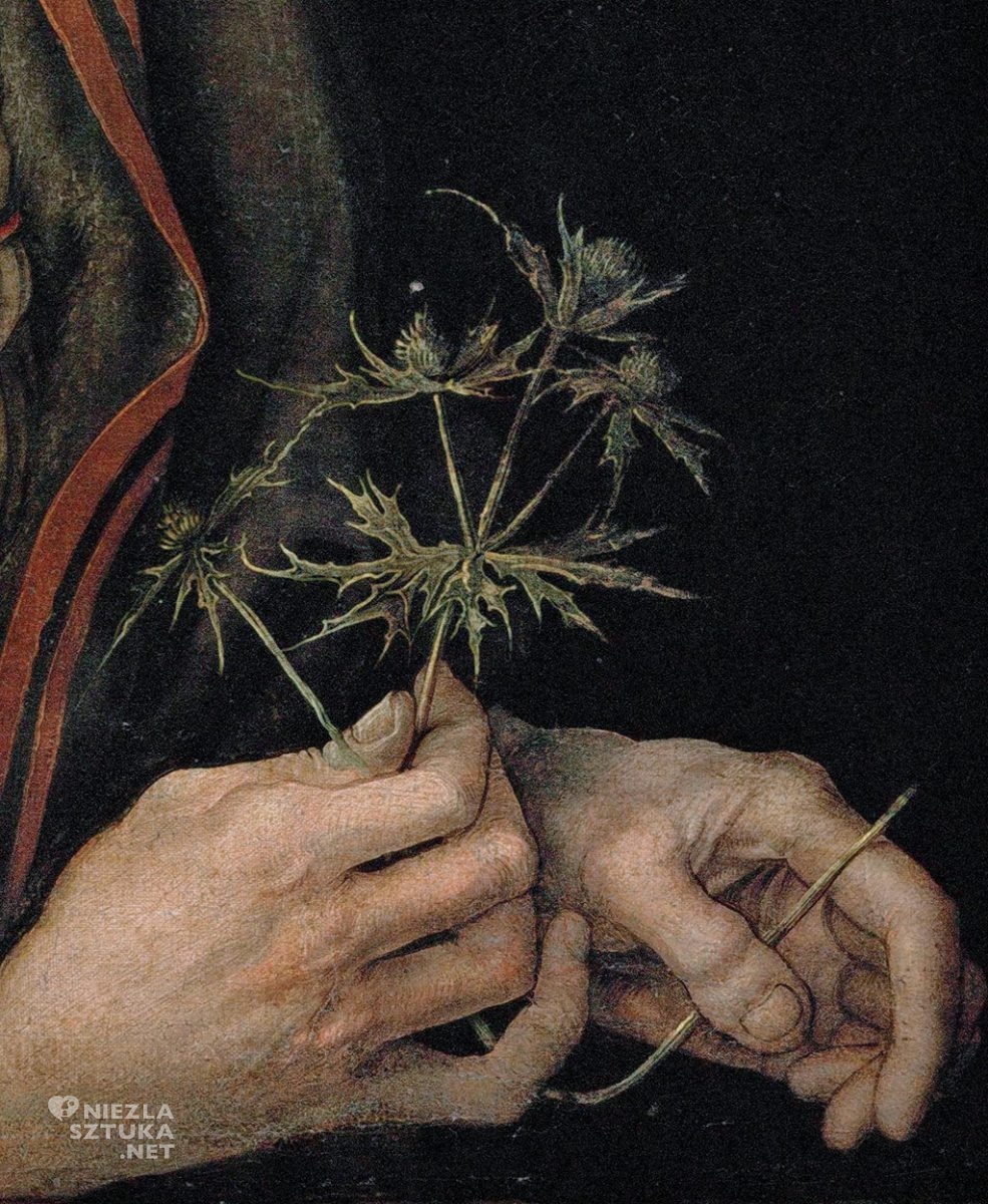 Albrecht Durer, Autoportret z kwiatem mikołajka, Niezła sztuka