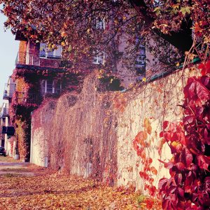 Osiedle im. Józefa Montwiłła-Mireckiego w Łodzi, Katarzyna Kobro, Władysław Strzemiński, Łódź, Niezła Sztuka