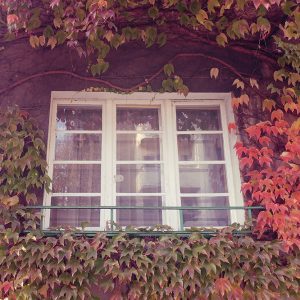 Osiedle im. Józefa Montwiłła-Mireckiego w Łodzi, Katarzyna Kobro, Władysław Strzemiński, Łódź, Niezła Sztuka