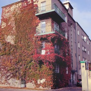 Osiedle im. Józefa Montwiłła-Mireckiego w Łodzi, Katarzyna Kobro, Władysław Strzemiński, Łódź, Niezła Sztuka