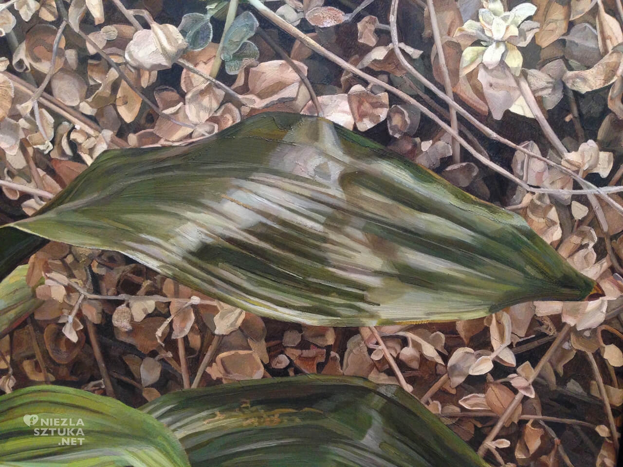 Lucian Freud, Dwie rośliny, Tate, Niezła sztuka