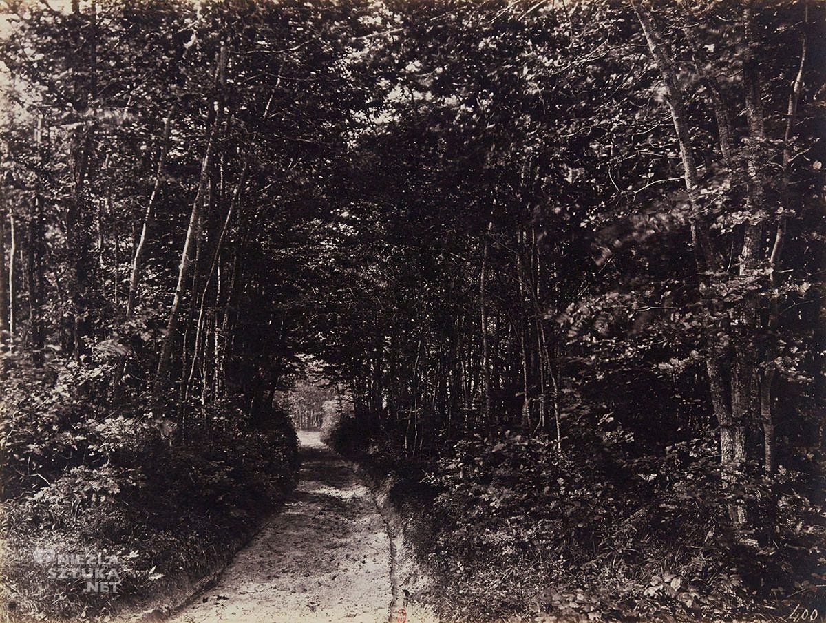 Eugène Cuvelier, fotografia, ścieżka w lesie, impresjonizm, Niezła Sztuka