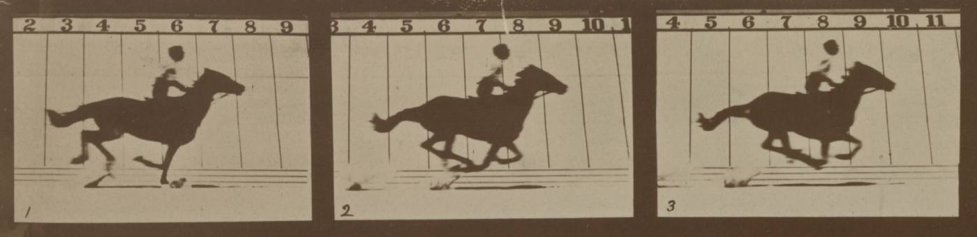 Eadweard Muybridge, fotografia, koń, niezła sztuka