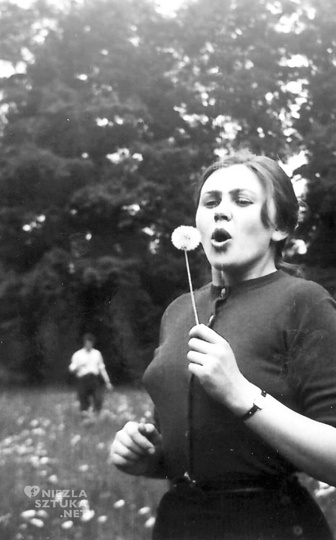 Barbara Piasecka Johnson, Kwiat paproci, książka, wydawnictwo Universitas, Niezła sztuka