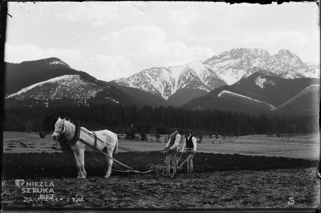 Teofil Studnicki, Orka w Zakopanem, Niezła sztuka