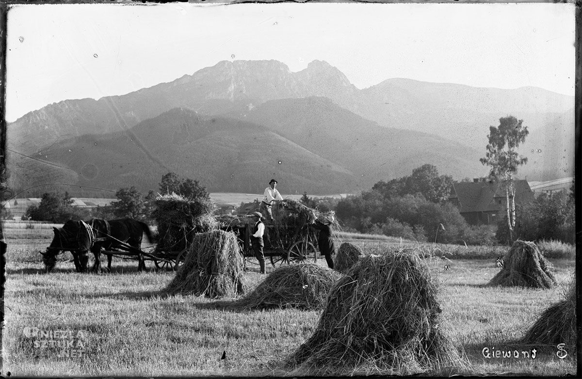 Teofil Studnicki, Żniwa, w tle Giewont, Niezła sztuka