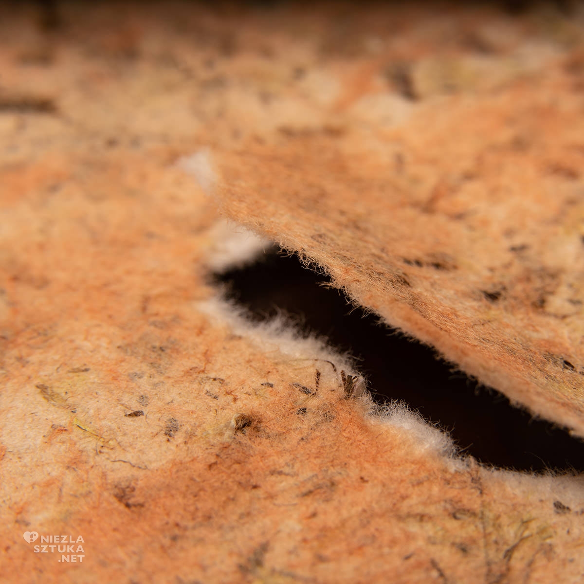 Agnieszka Andruszkiewicz, wywiad z artystą, artystka polska, papier, formy z papieru, sztuka polska, Niezła sztuka