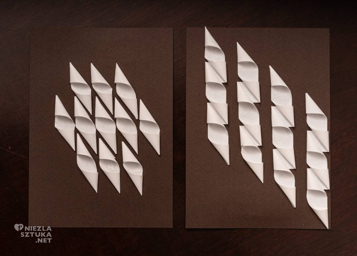 Agnieszka Andruszkiewicz, artystka polska, papier, formy z papieru, sztuka polska, Niezła sztuka