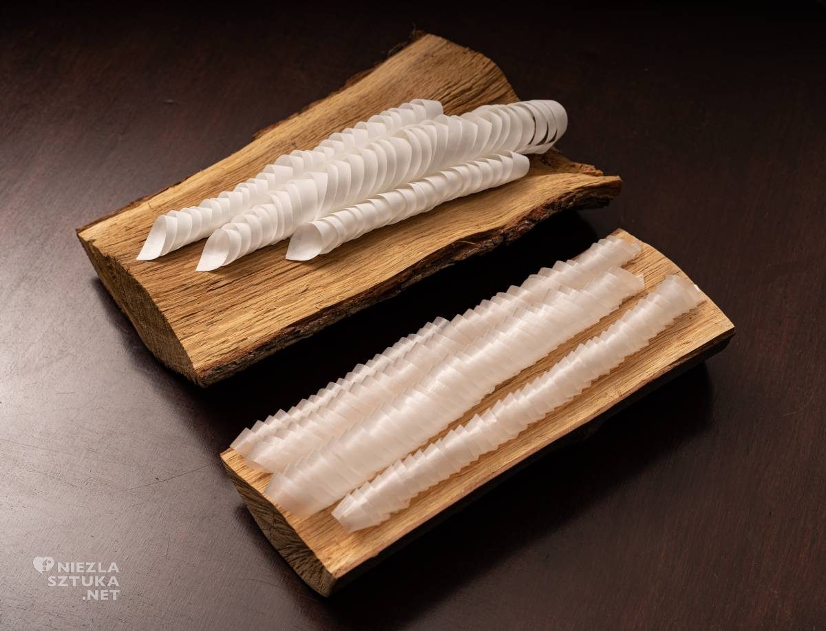 Agnieszka Andruszkiewicz, artystka polska, papier, formy z papieru, sztuka polska, Niezła sztuka