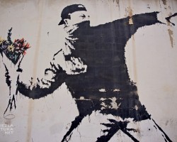 Banksy, Betlejem, Love is in the air, flower thrower, street art, grafiti, Niezła Sztuka