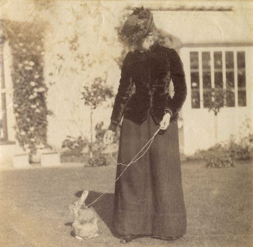 Beatrix Potter, Benjamin Bouncer, królik, zwierzęta, fotografia, kobiety w sztuce, ilustratorka Niezła Sztuka