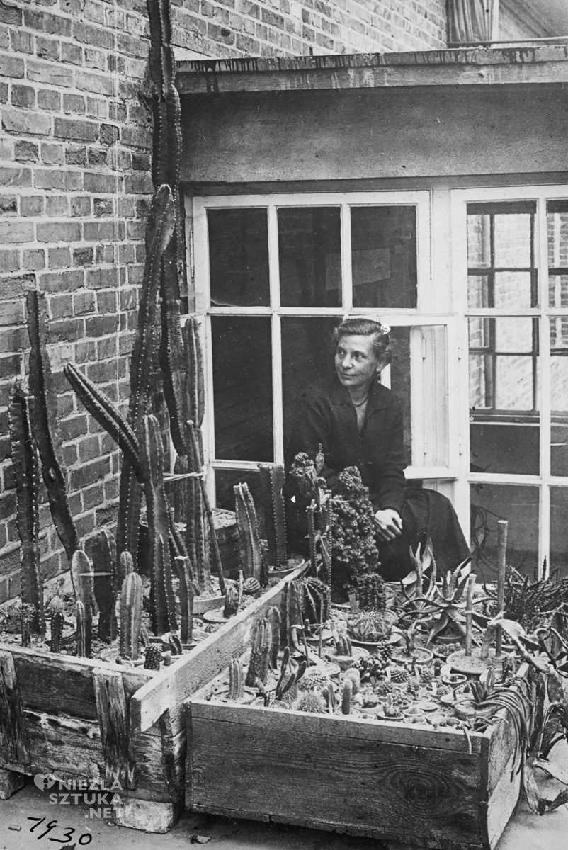 Ada Hofman, fotografia, Wlastimil Hofman, żona Hofmana, Niezła Sztuka