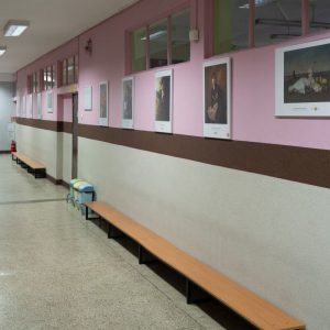 II Liceum Ogólnokształcące im. Gabriela Narutowicza w Łodzi, Muzeum w Liceum, Niezła sztuka