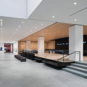 Museum of Modern Art, MoMa, Nowy Jork, Muzeum, Niezła Sztuka