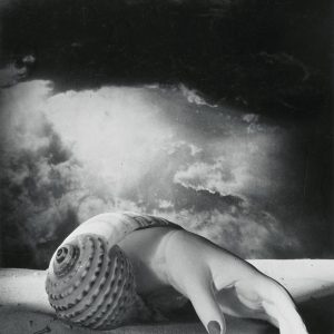 Dora Maar, Bez tytułu, Ręka-muszla, sztuka współczesna, Niezła Sztuka