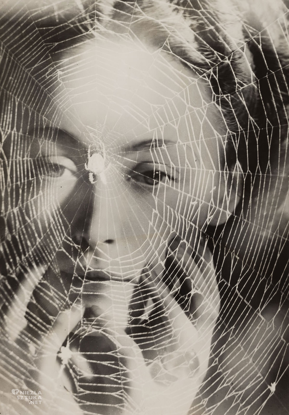 Dora Maar, fotografia, sztuka współczesna, Niezła Sztuka