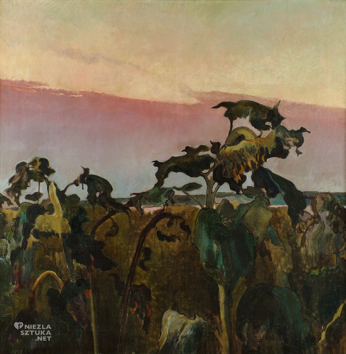Kazimierz Sichulski, Słoneczniki, sztuka polska, malarstwo polskie, Niezła Sztuka