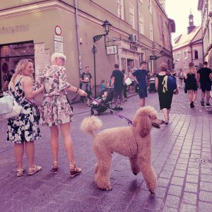 Kraków, niezła sztuka