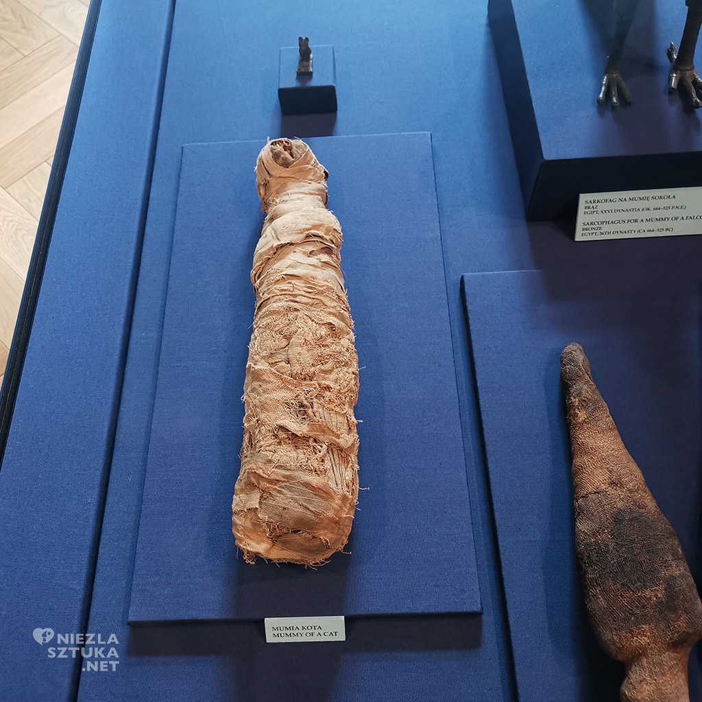 Muzeum Książąt Czartoryskich arsenał, mumia kota, Kraków, sztuka starożytna, kolekcja sztuki, niezła sztuka