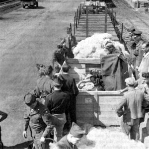 Karol Estreicher, Ołtarz mariacki, Wit Stwosz, niezła sztuka