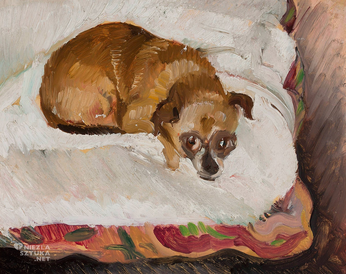 Zygmunt Waliszewski, pies, niezła sztuka