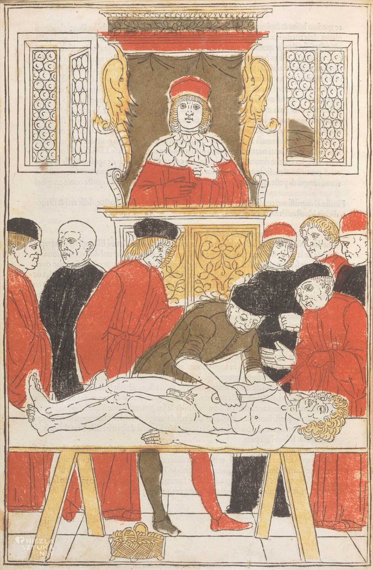 Johannes de Ketham, Fasciulo di medicina, średniowiecze, medycyna, Niezła Sztuka