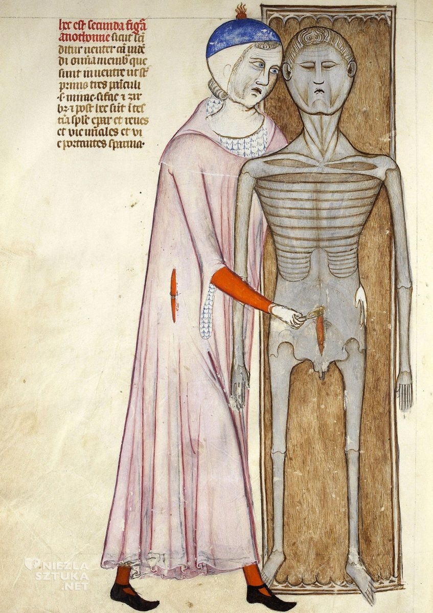anatomia, średniowieczny lekarz, manuskrypt, niezła sztuka