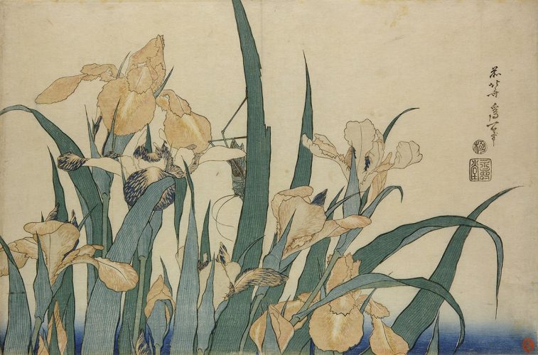 Hokusai, sztuka japońska, Niezła Sztuka